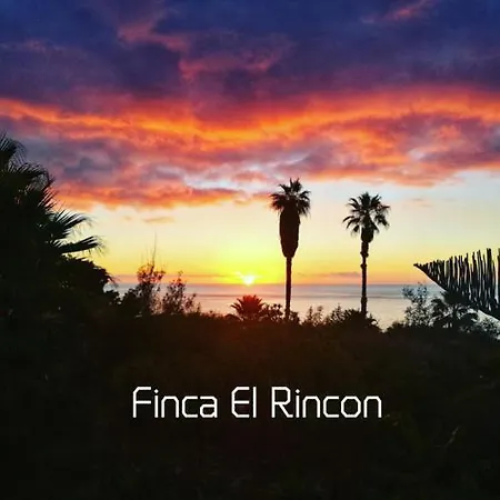 El Rincon Apartment La Orotava